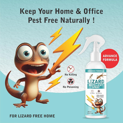 Lizard Repellent for Home Spray Pest Control 250ML (Buy 1 Get 1 Free)